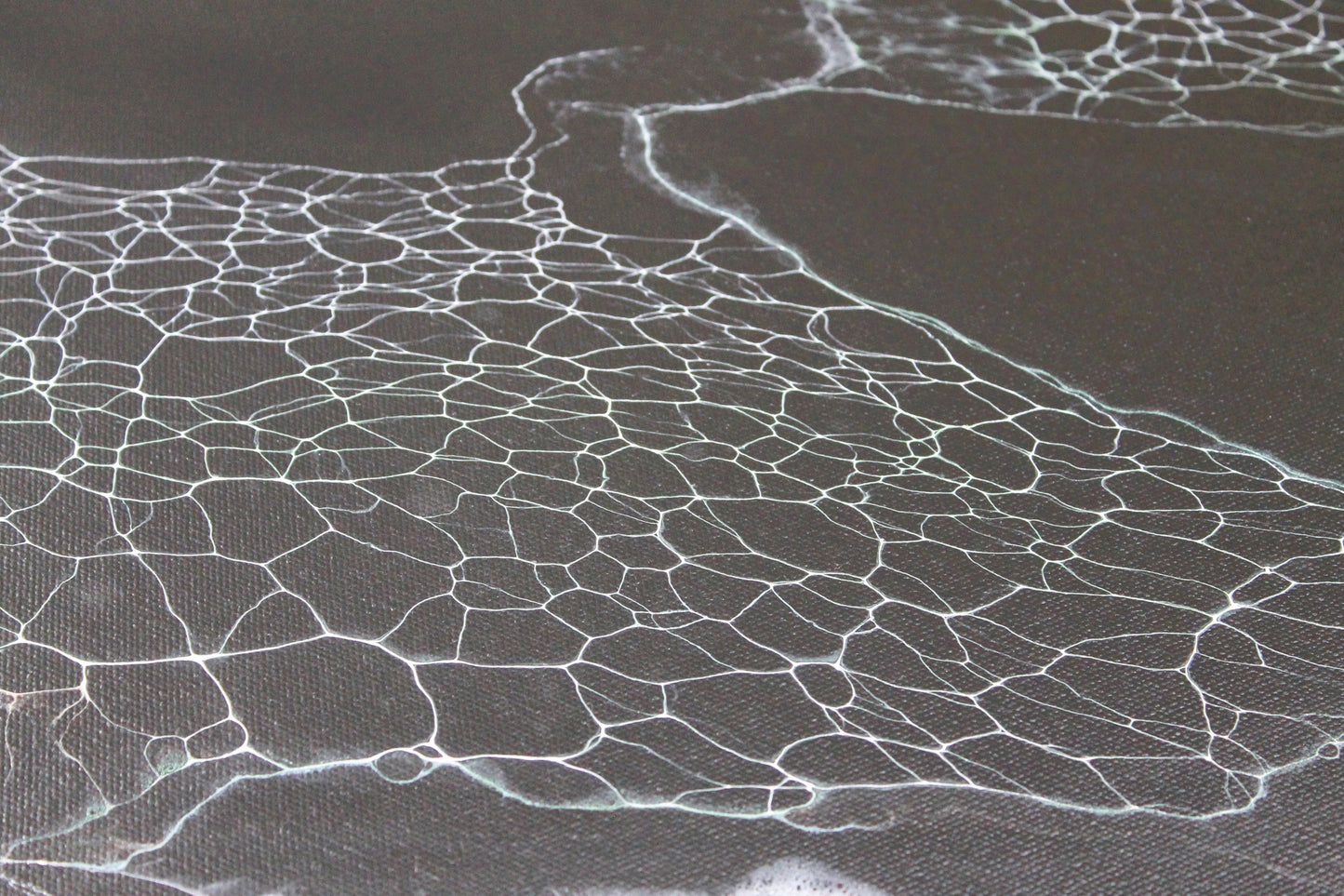 Oh What a Tangled Web